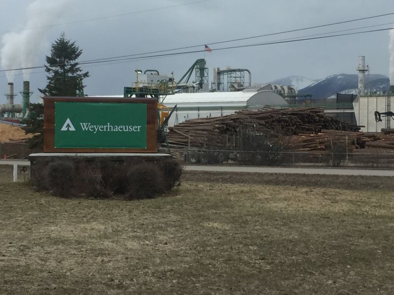 Weyerhaeuser Columbia Falls