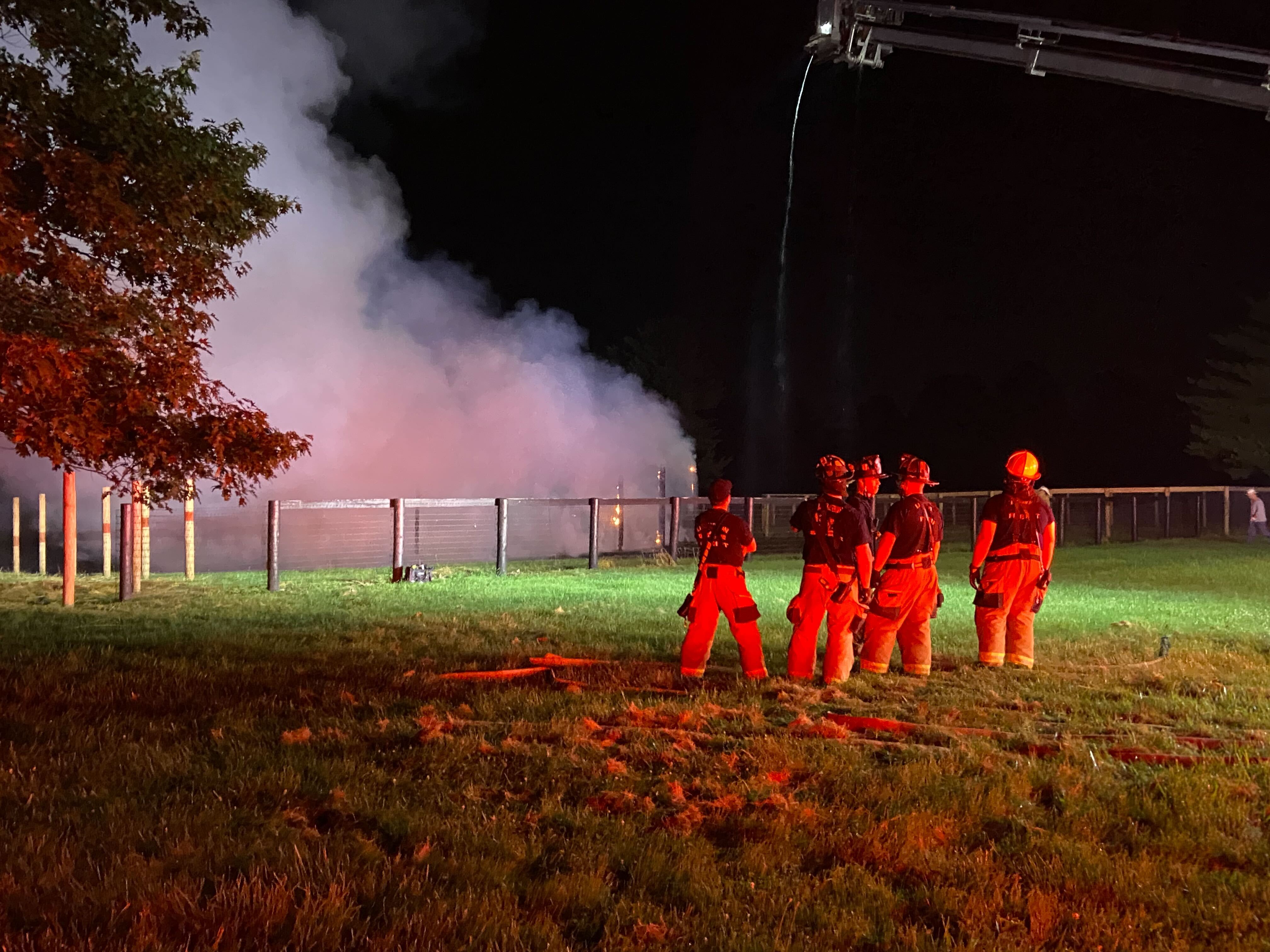 horse walker fire.jpg
