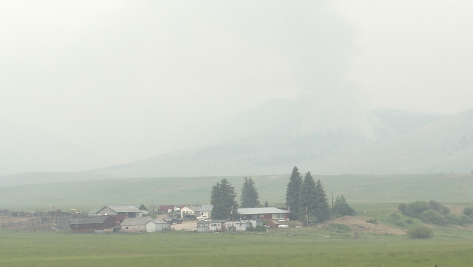 alder creek.jpg