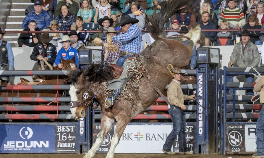 Saddle Bronc Fountain.JPG
