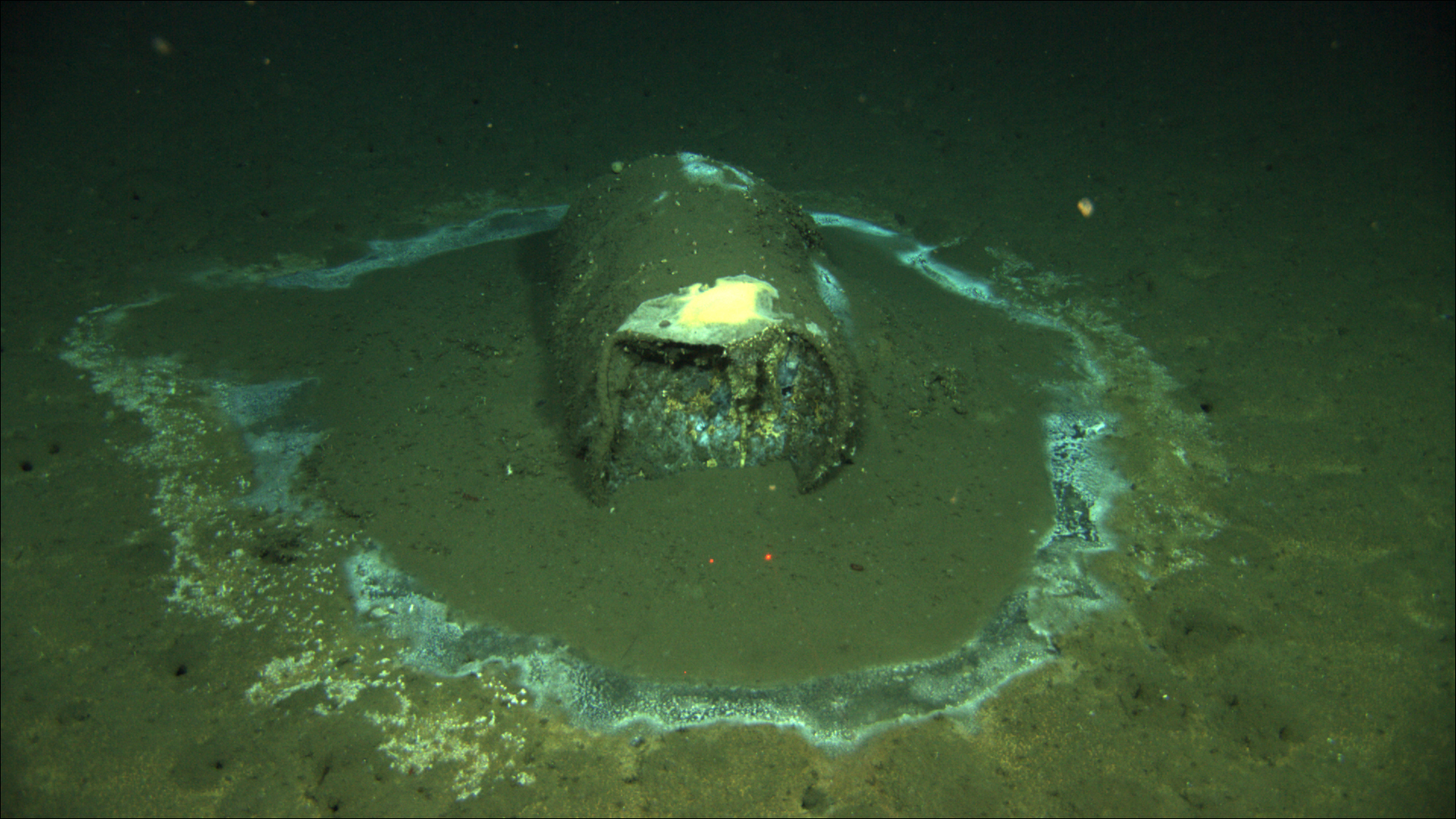California DDT Dumping