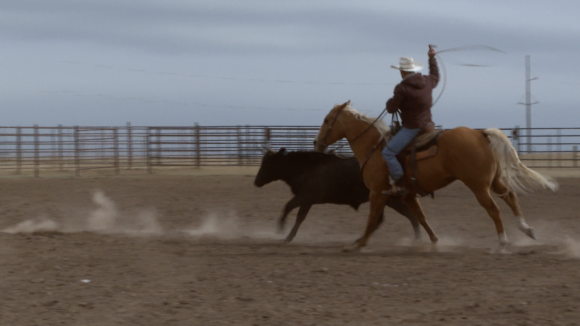COWBOY.png