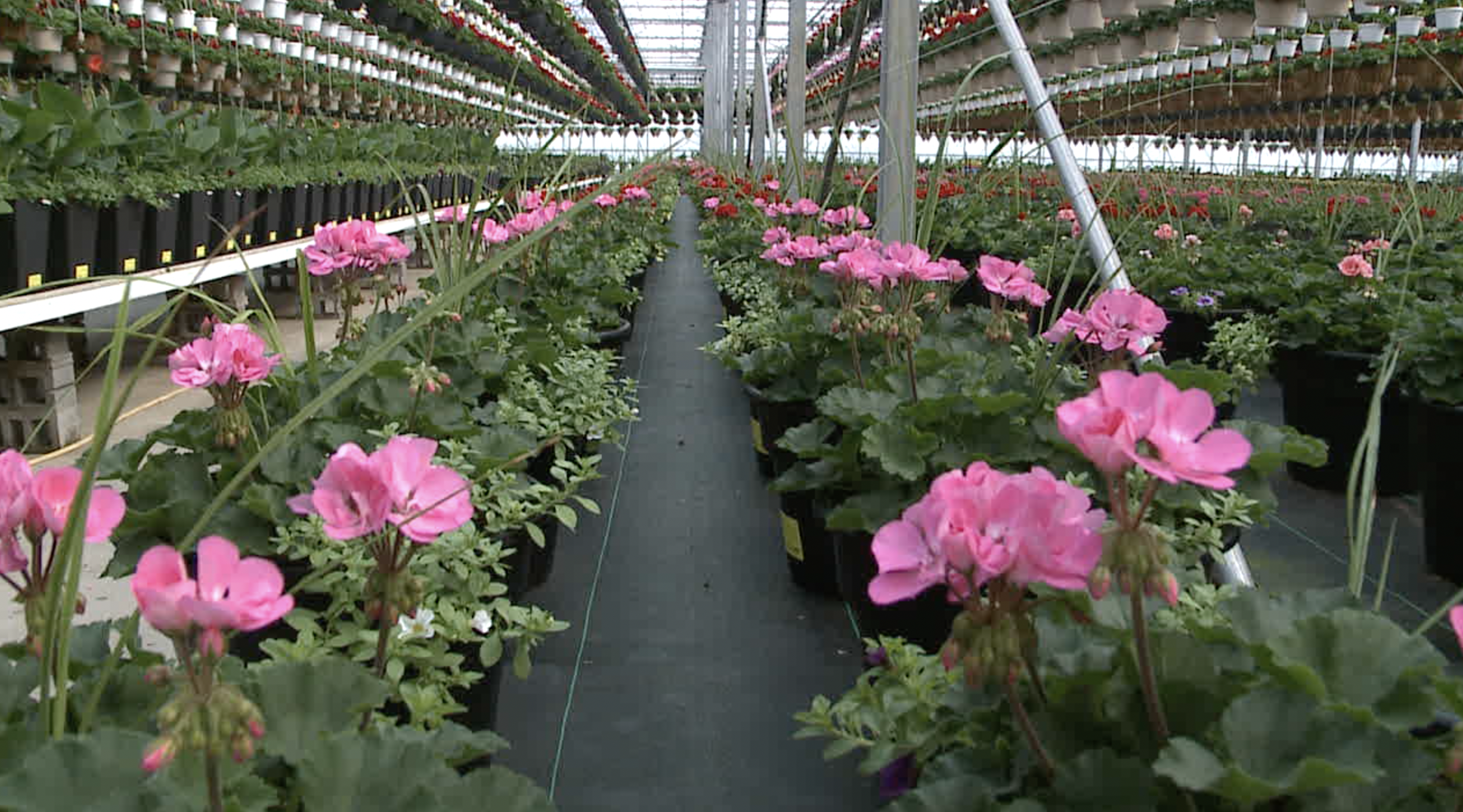 Screen Shot 2023-04-12 at 8.39.15 AM.png