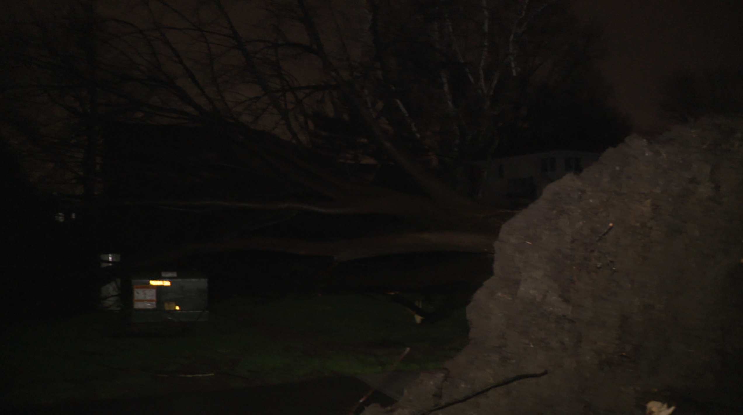 Downed tree in North Olmsted 3/31/26