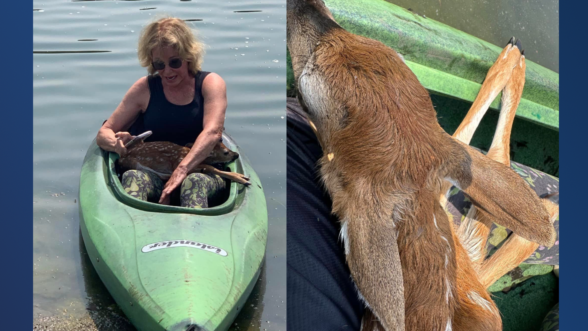 USE THIS - Blue background  (30).png