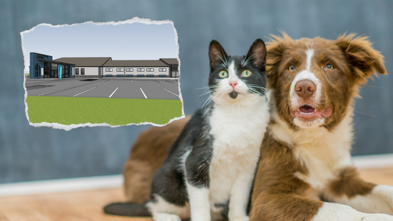 New Temple animal shelter