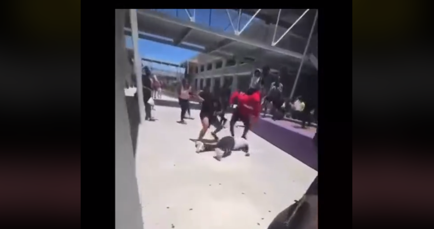 Lennard School Fight