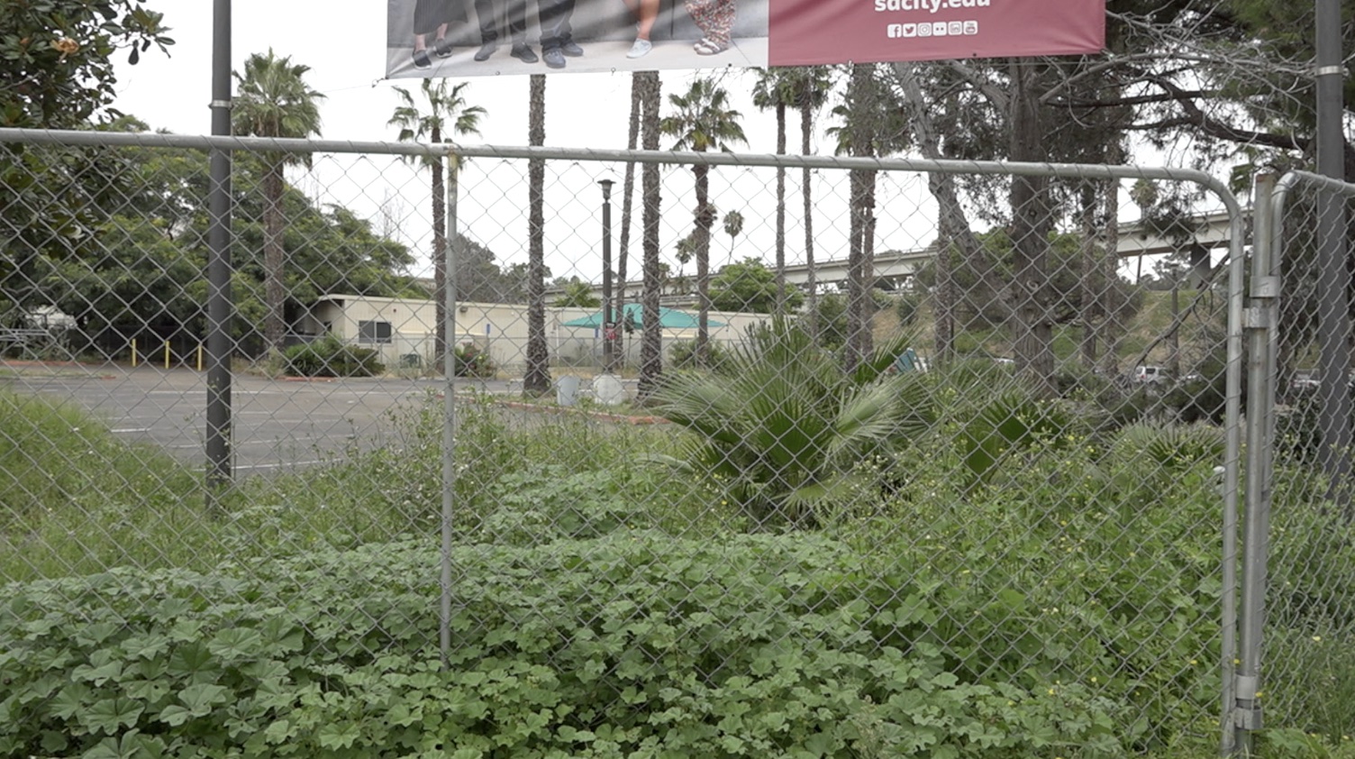 city college.jpg