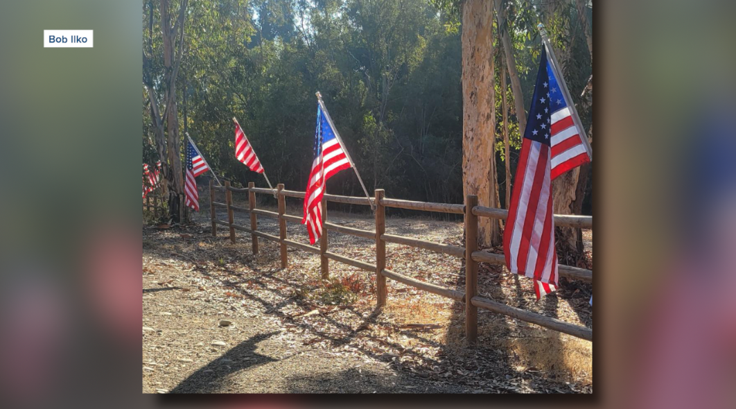 Scripps Ranch American flags.png