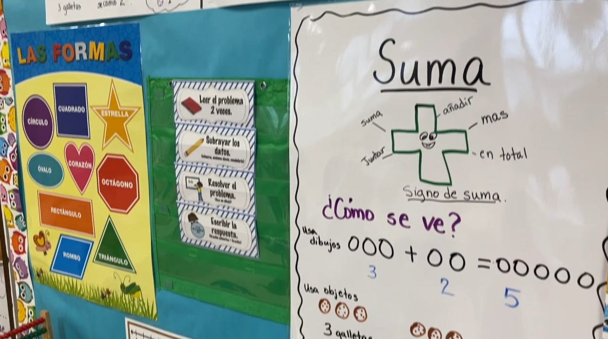 Hillsborough County Dual Language