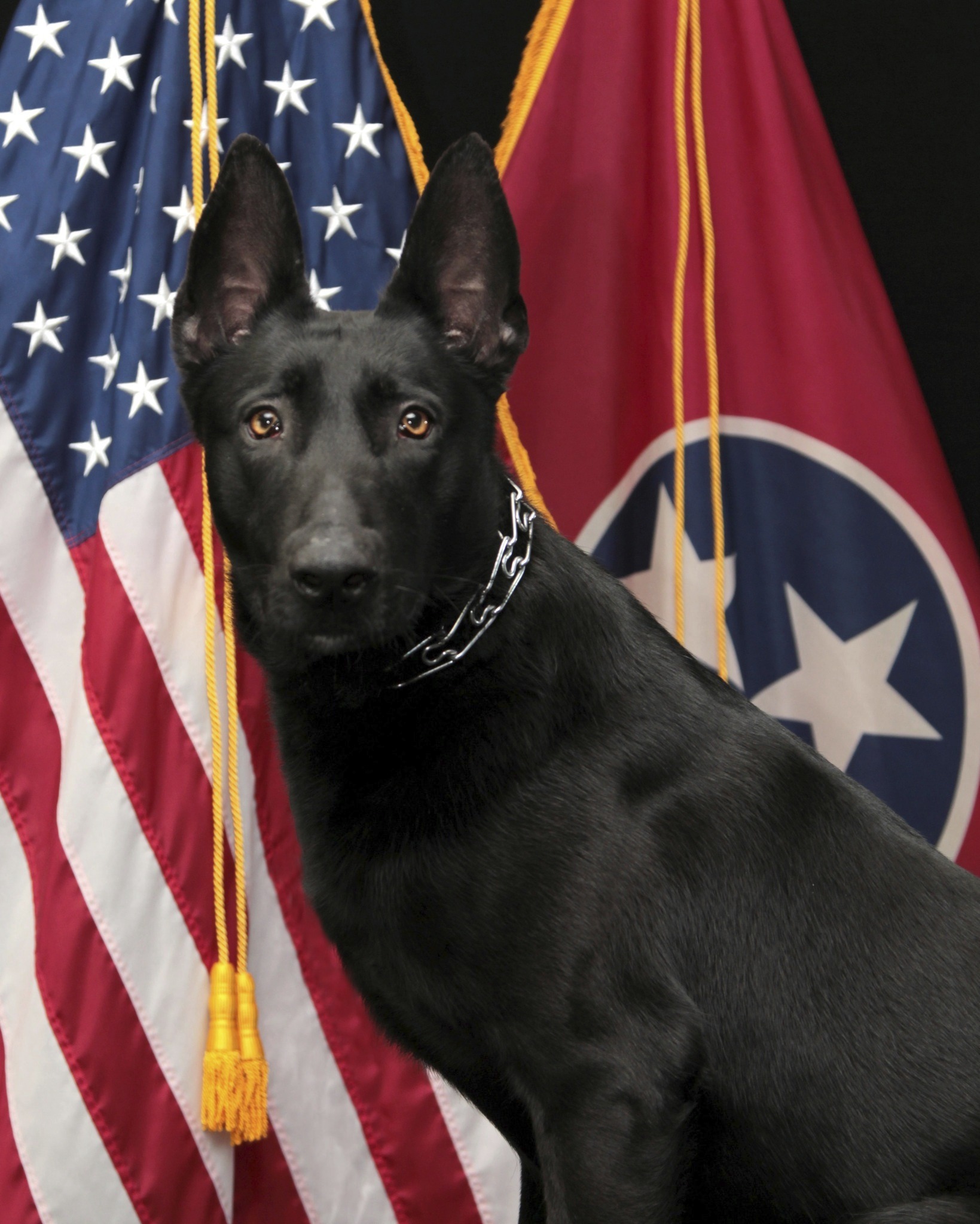 Police Shooting Tennessee