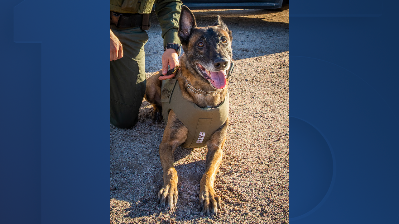 PCSO K9.png