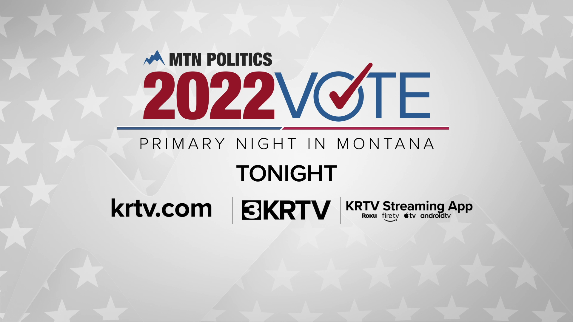 2022 Primary Election