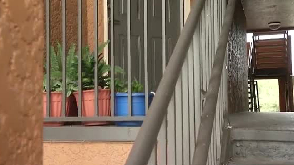 wptv-baby-left-on-doorstep-orlando-.jpg