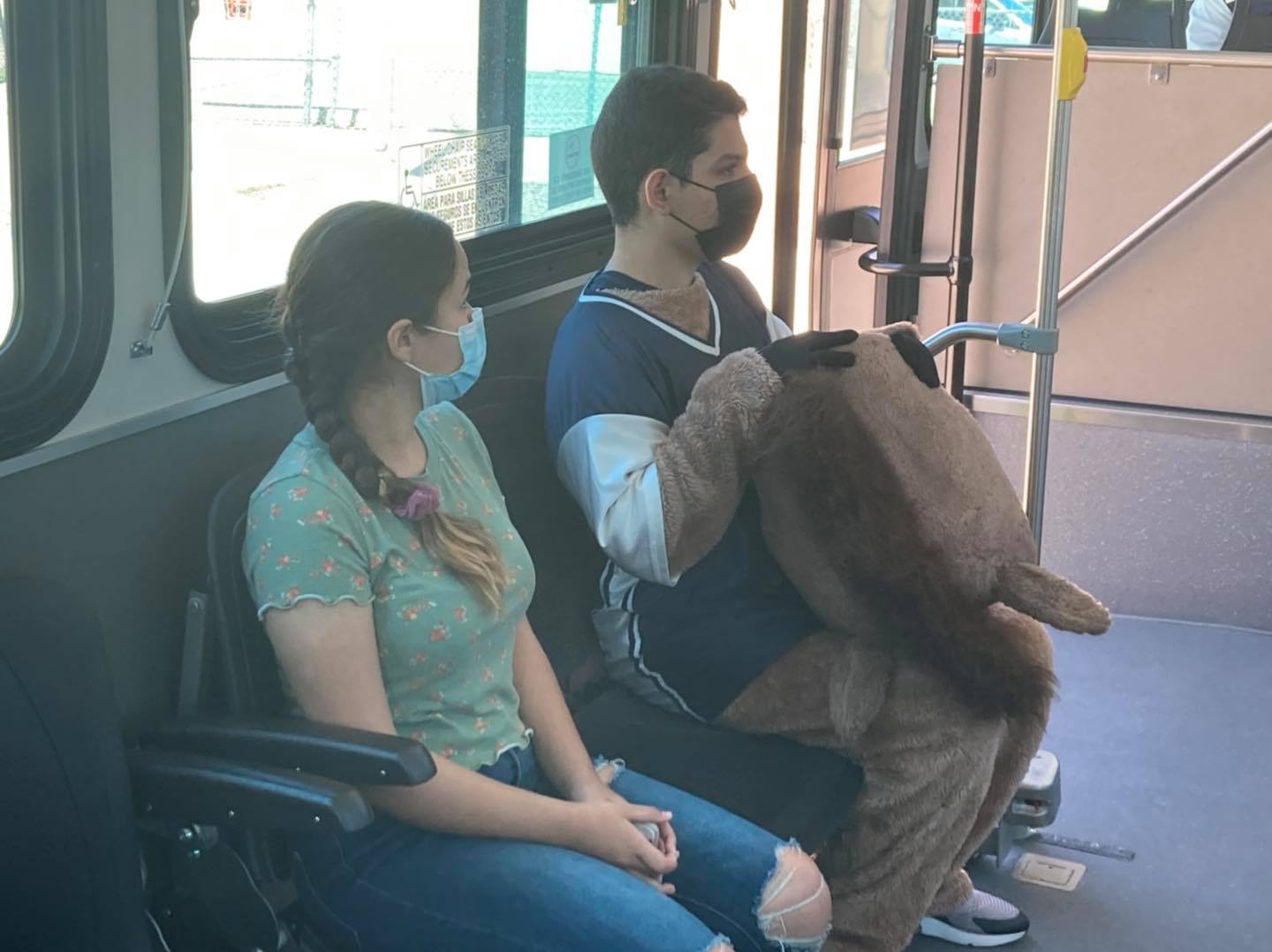 sun tran tusd.jpeg