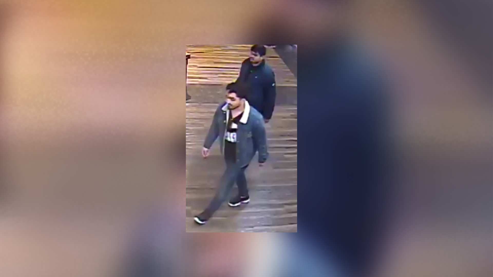 Williamsburg grand larceny suspects