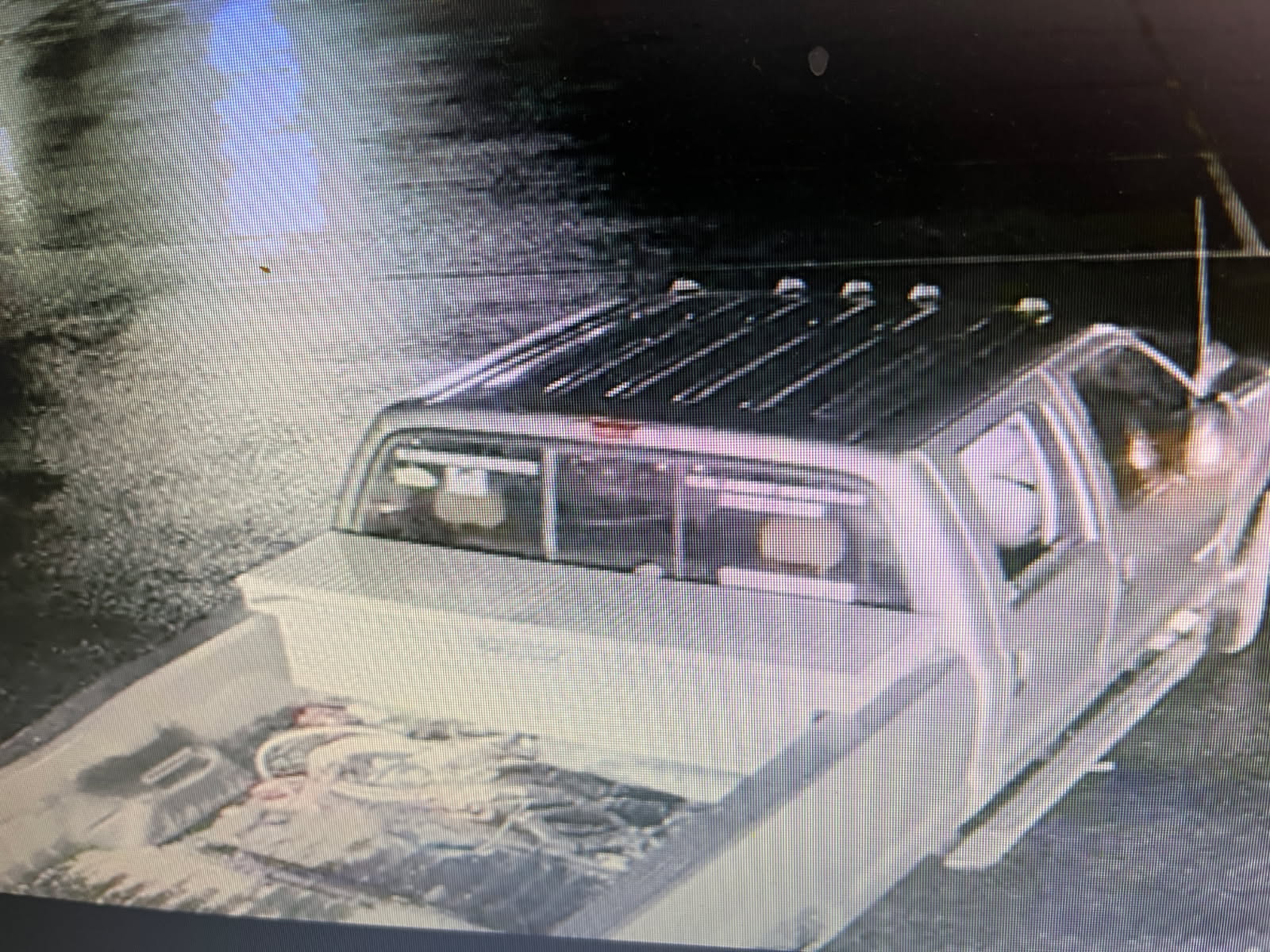 Wilsons Grocery Theft