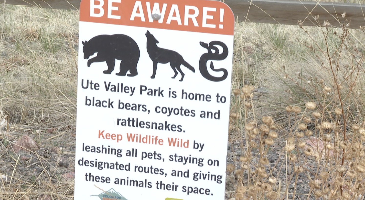 How to avoid snakes on the trails