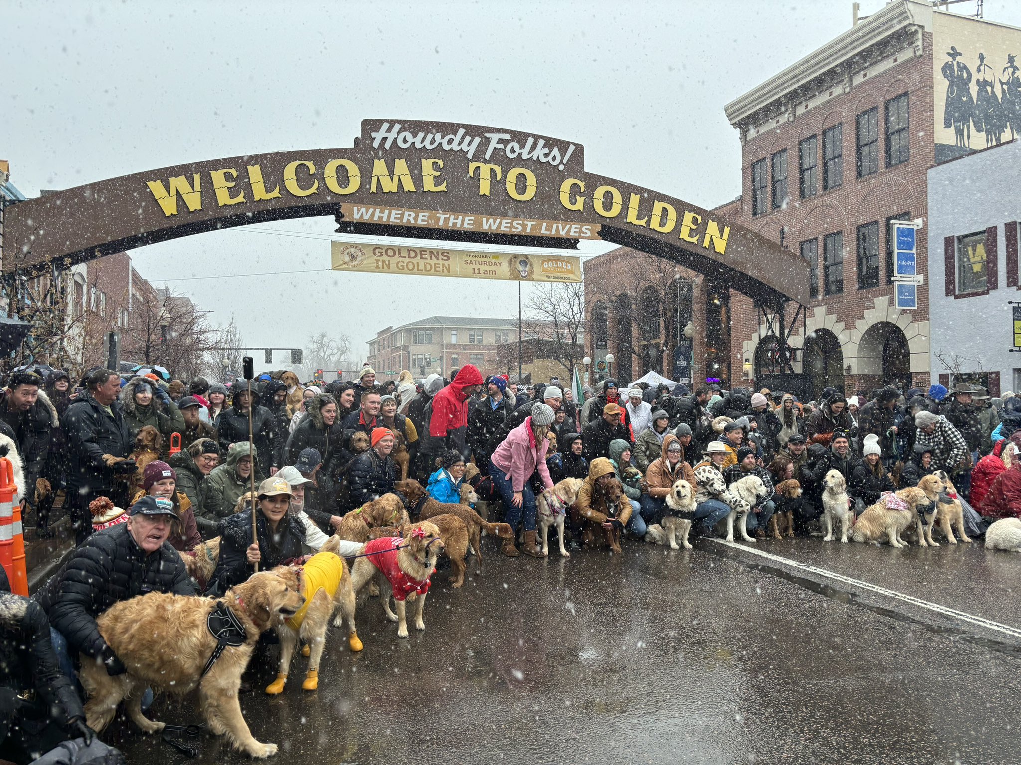 goldens in golden.jpg