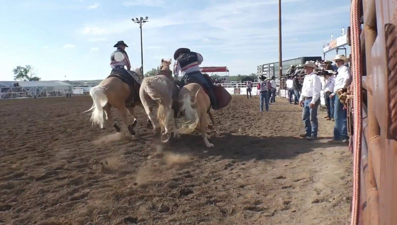 Miles City’s Bucking Horse Sale weekend