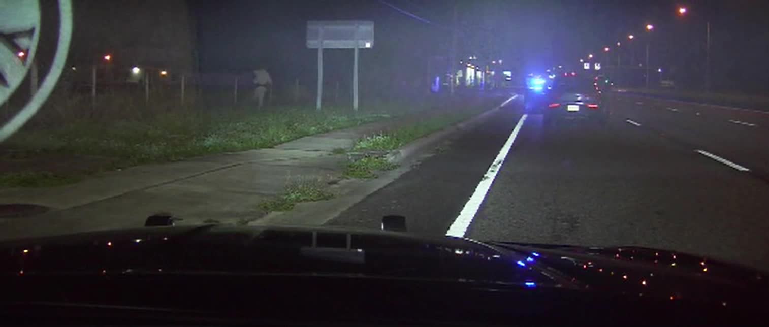 fhp bust (7).jpg