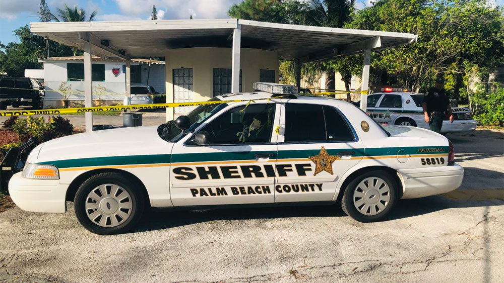 wptv-casa-del-monte-pool-incident-.jpg