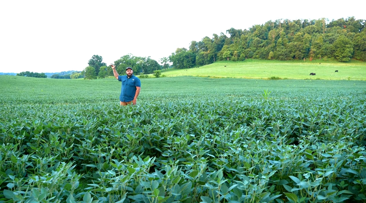 Brent Worley farm.png