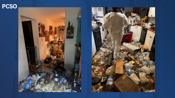 Woman who runs a pet taxi business arrested on animal cruelty charges in Frostproof