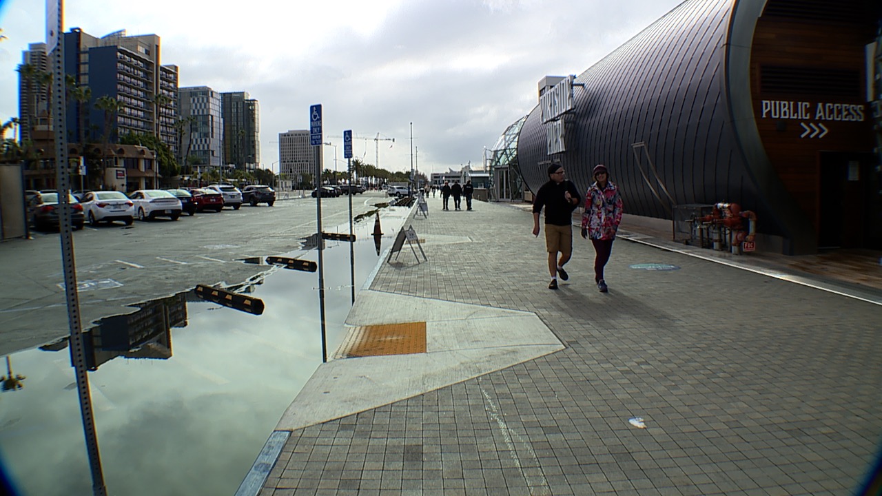 Untitled Project 1.jpg