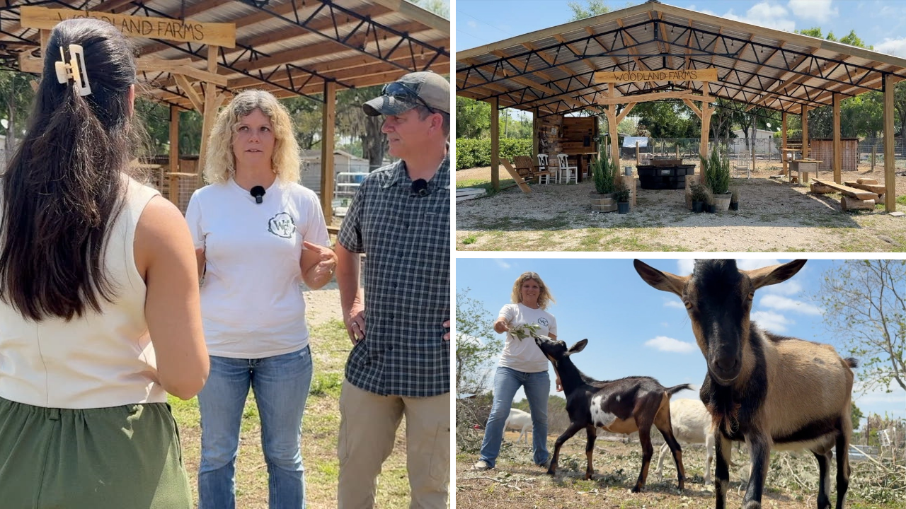 'The bill in itself is hope': Farmers weigh in on new Florida farm bill