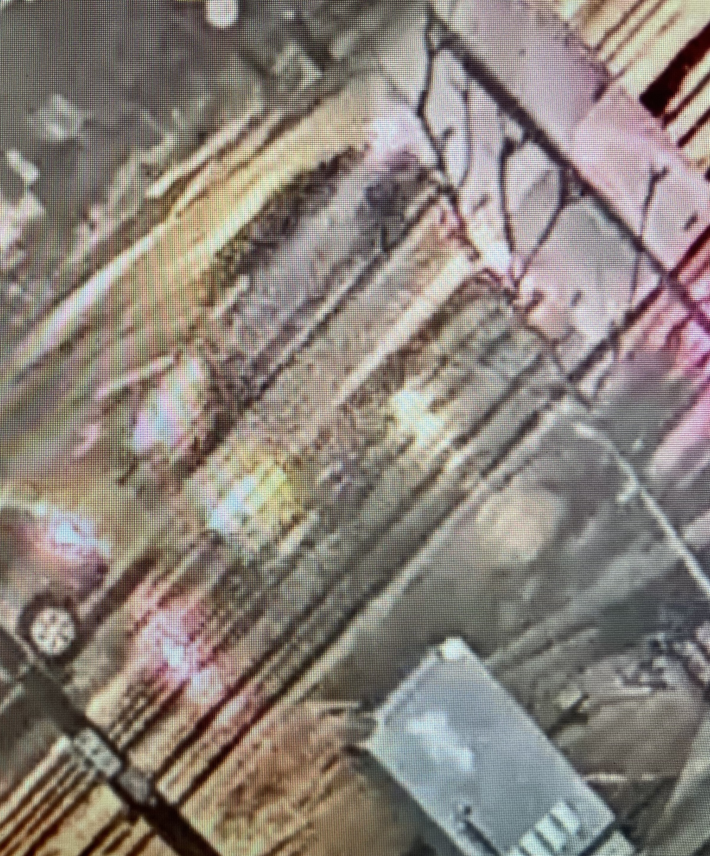 kia sportage_hit-and-run boulder april 26 2024.jpg