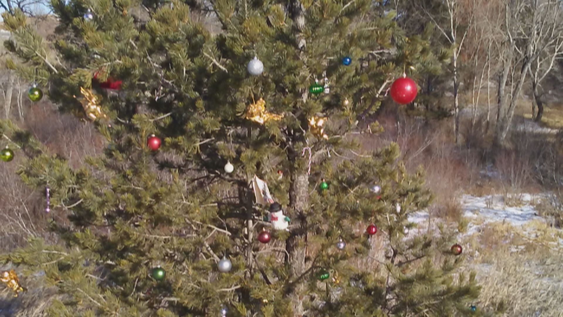 Public land holiday decorations