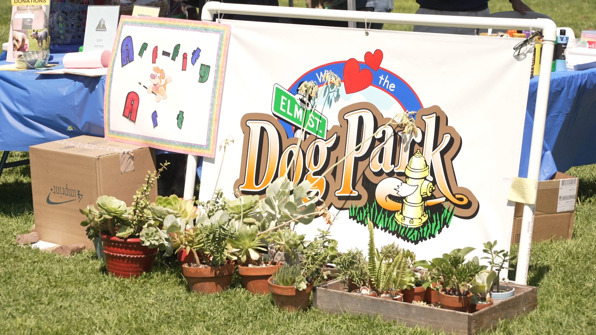 Bark in the Park