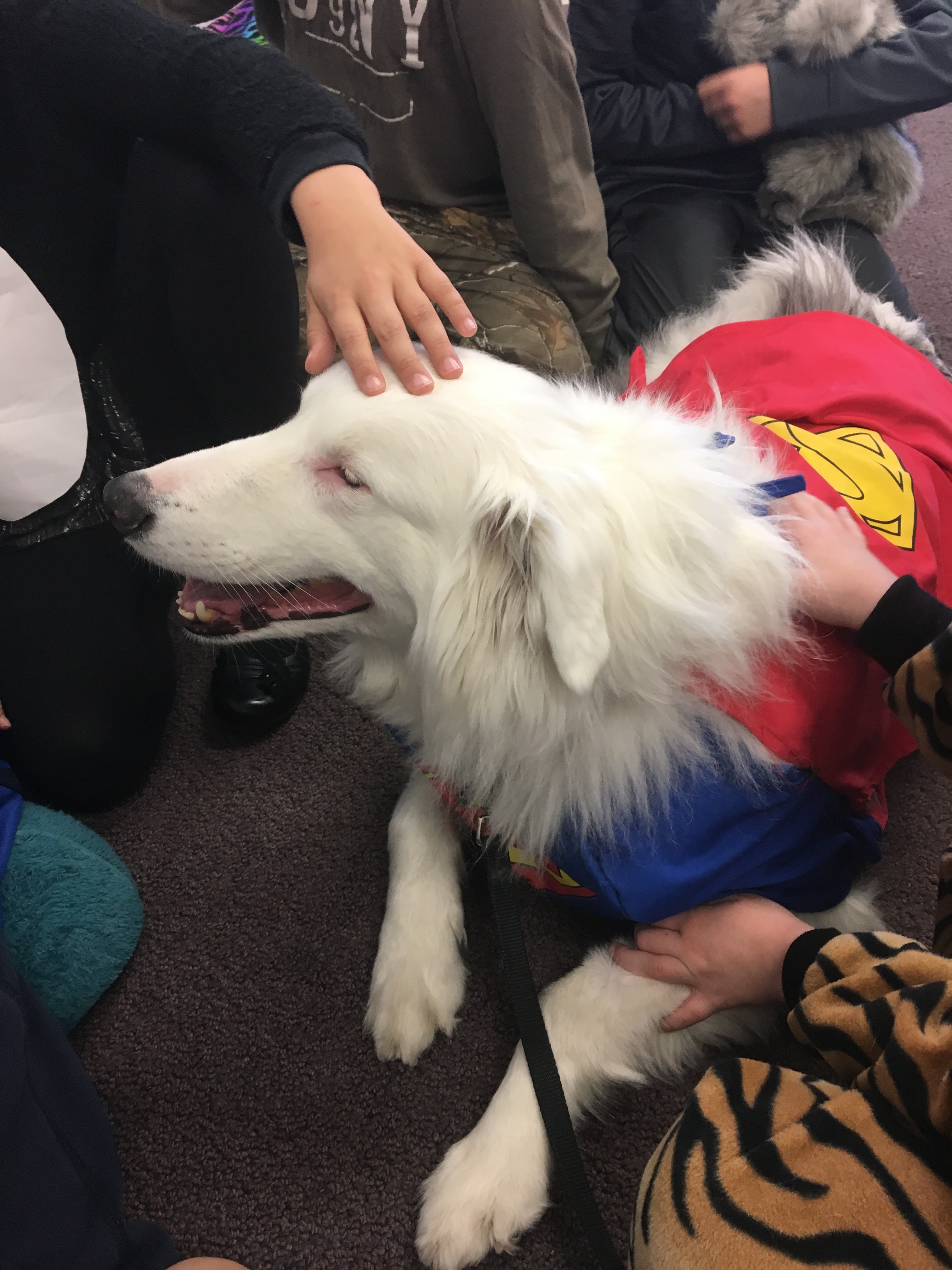 good dog.jpg