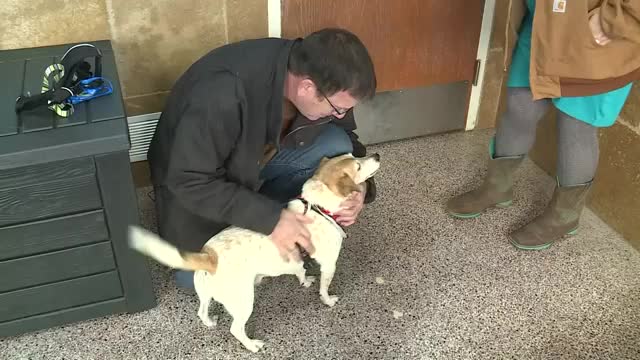 Poster image (50).jpg