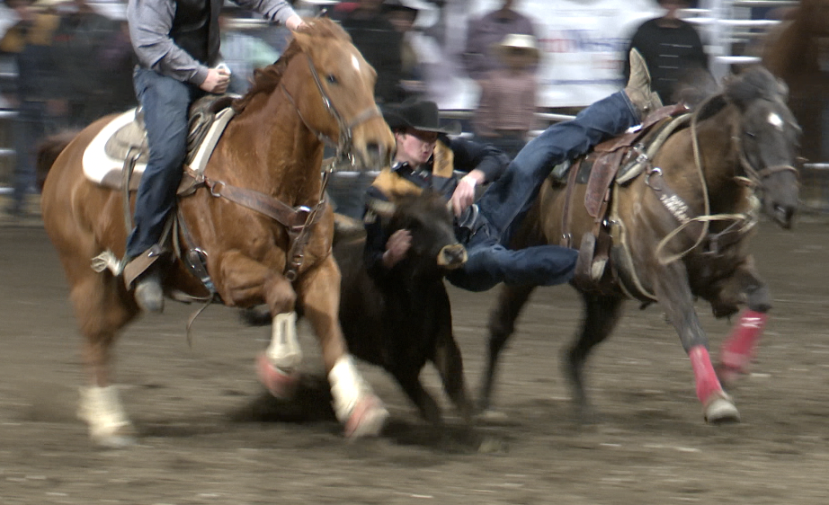 Montana State senior Logan Beattie advances to Sunday's short-go with a 7.4 in steer wrestling.