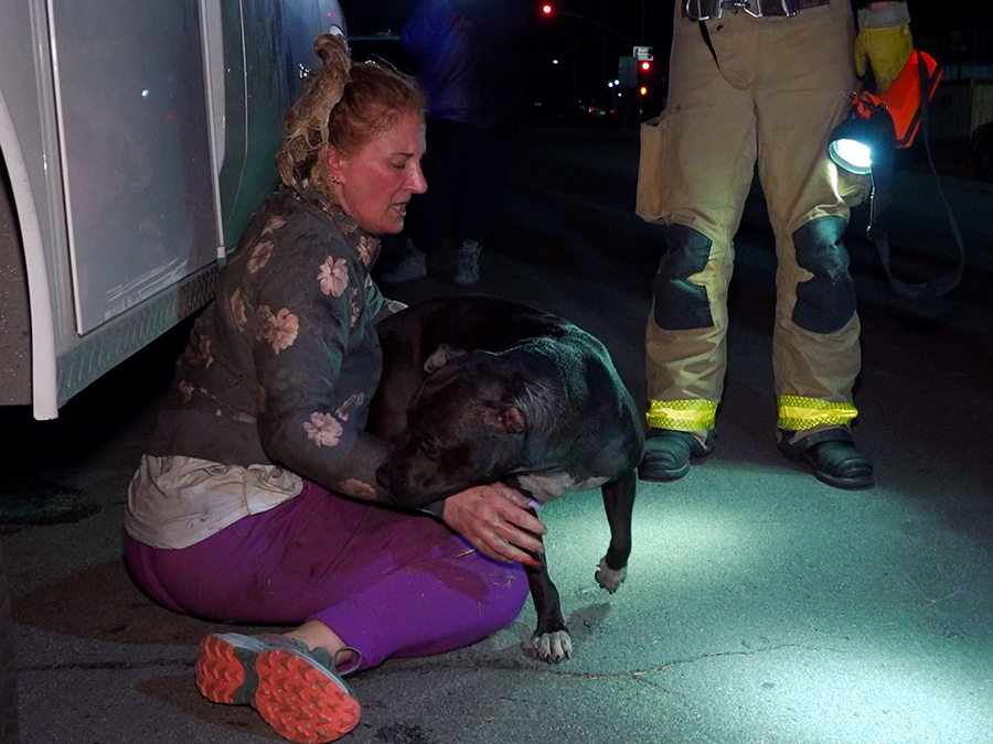 teralta_east_dog_rescue1_020524.jpg