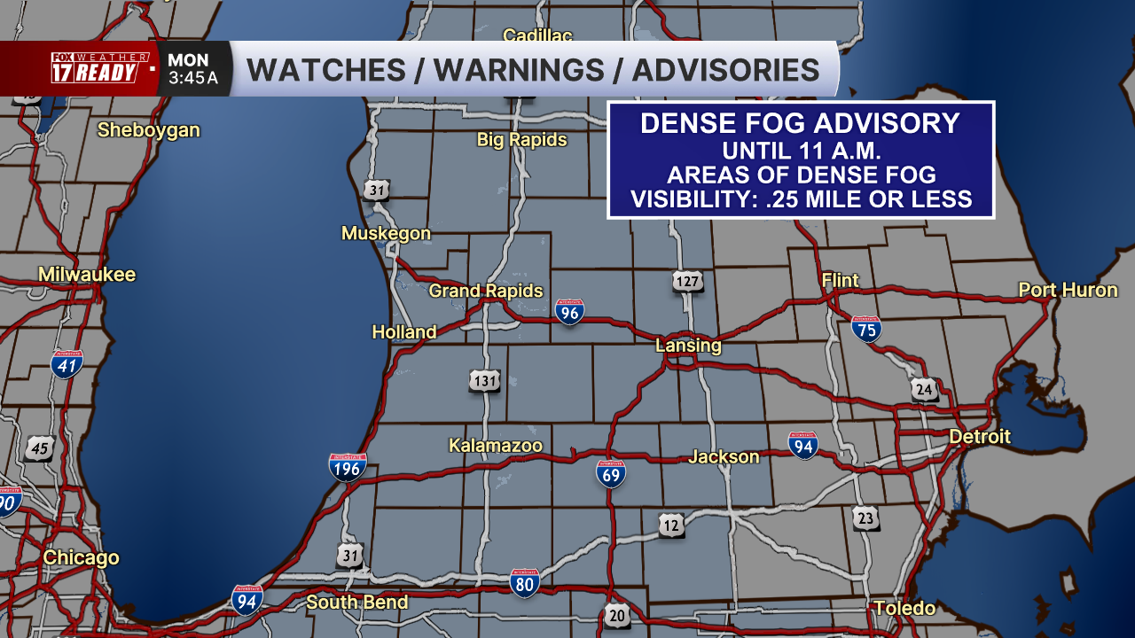 Fox 17 2026 Gray.png