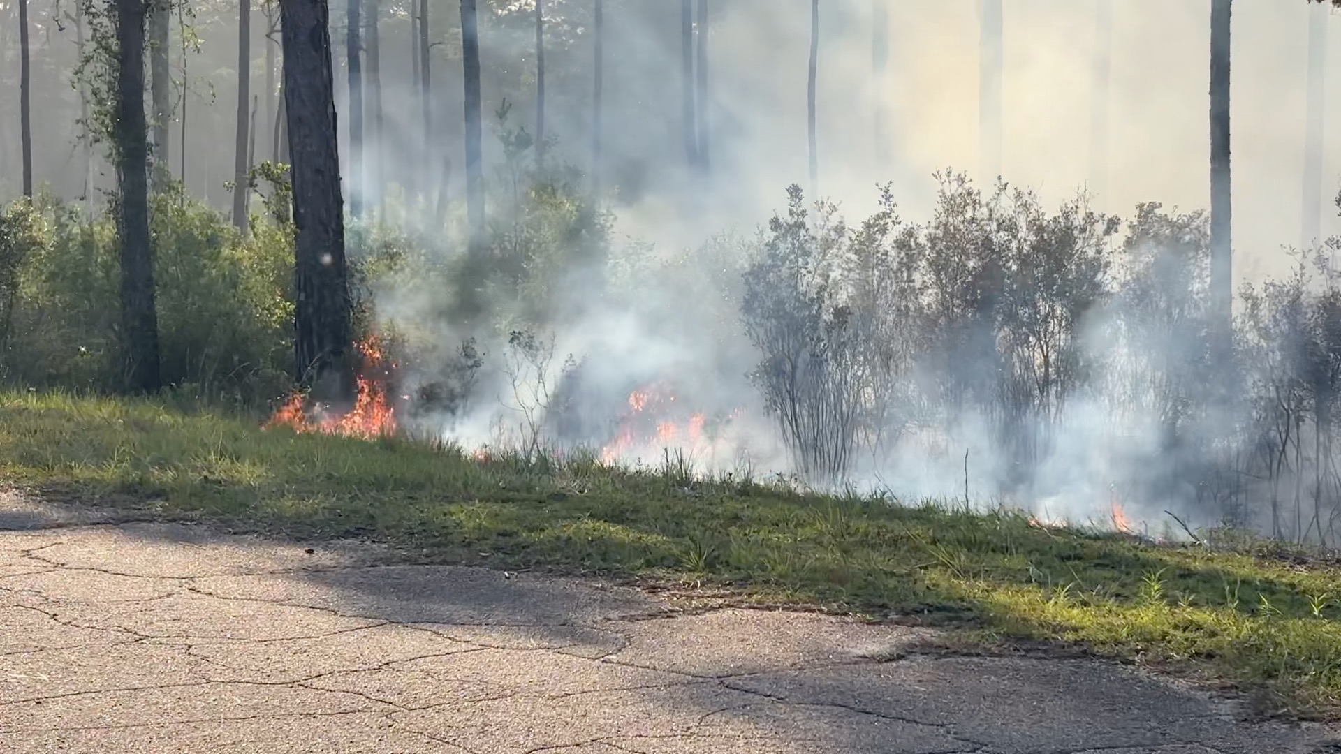 340 Wildfire on 06/05/26