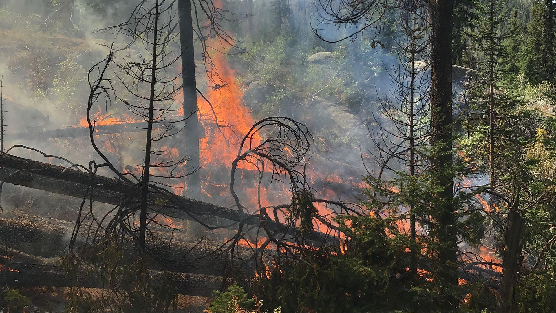 middleforkfire-91420.png