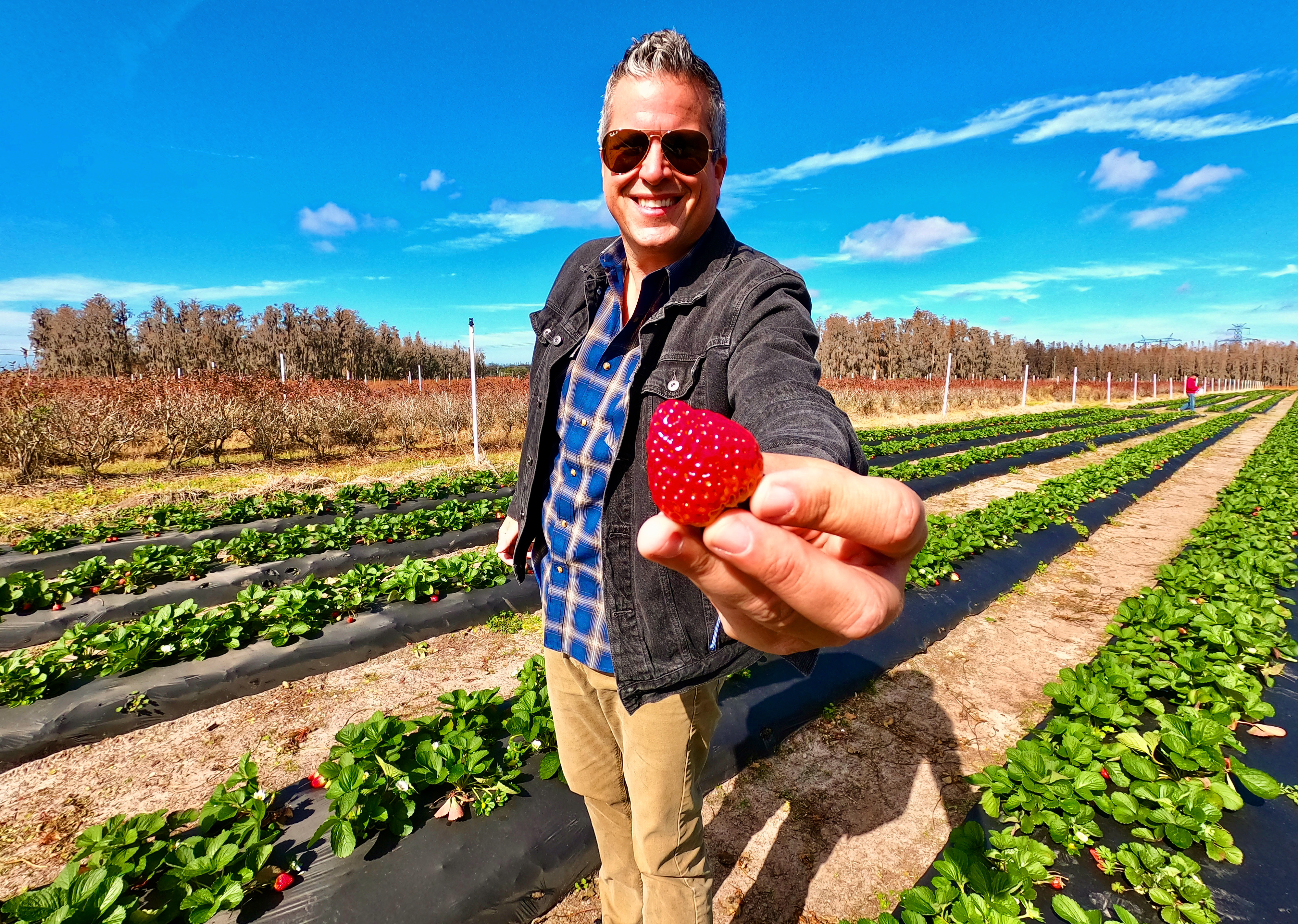 strawb.JPG