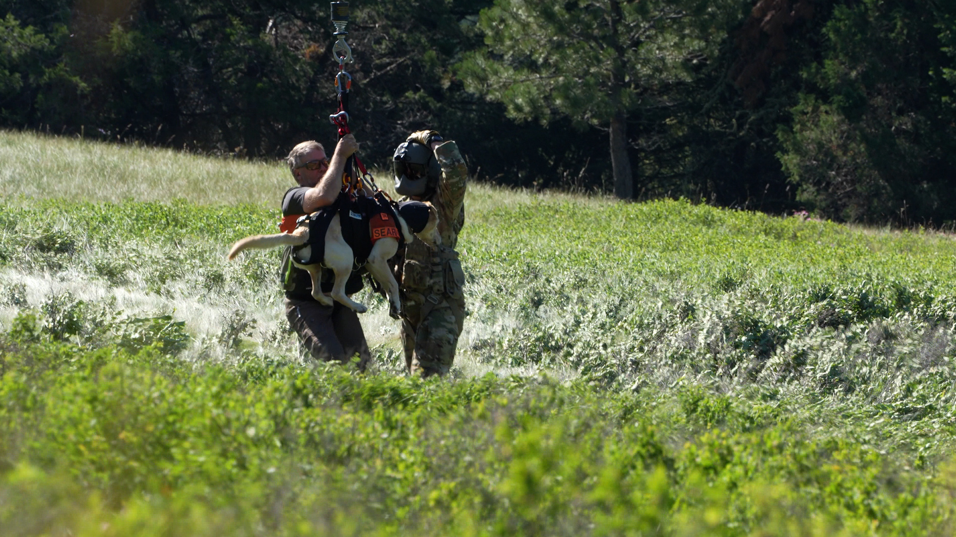 ELKHORN SEARCH AND RESCUE.jpg