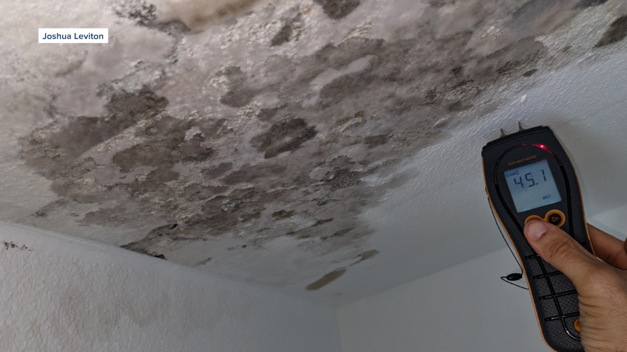 Joshua Leviton has been a mold inspector for more than five years.