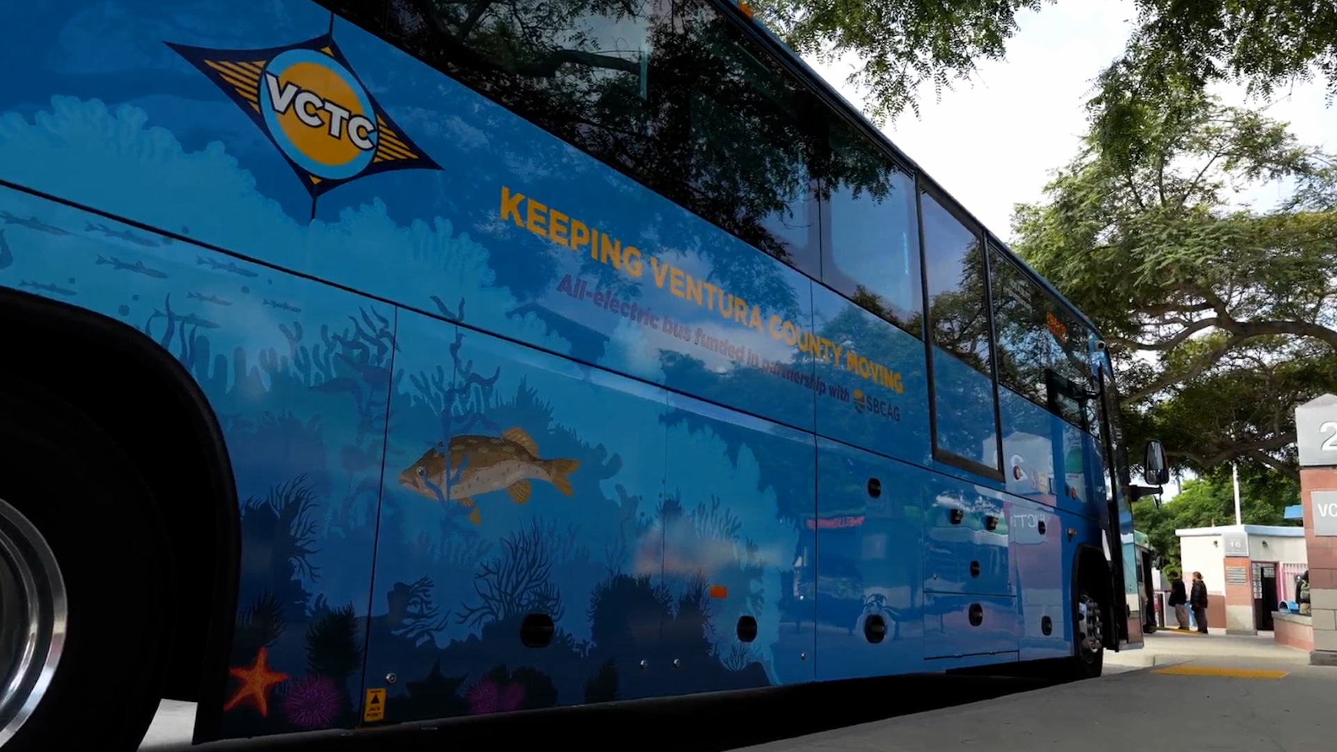 electric busses.jpg