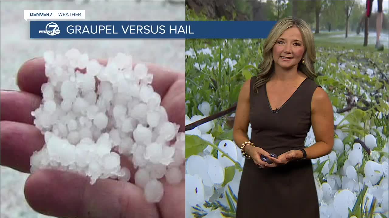 lisa-hidalgo-graupel-hail.jpg