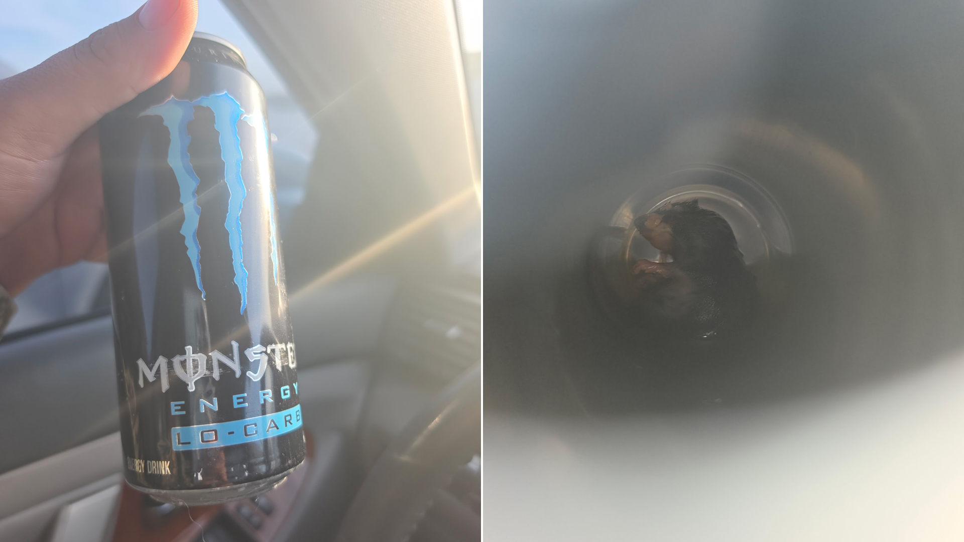 Rat found in Monster Energy drink, sailor says