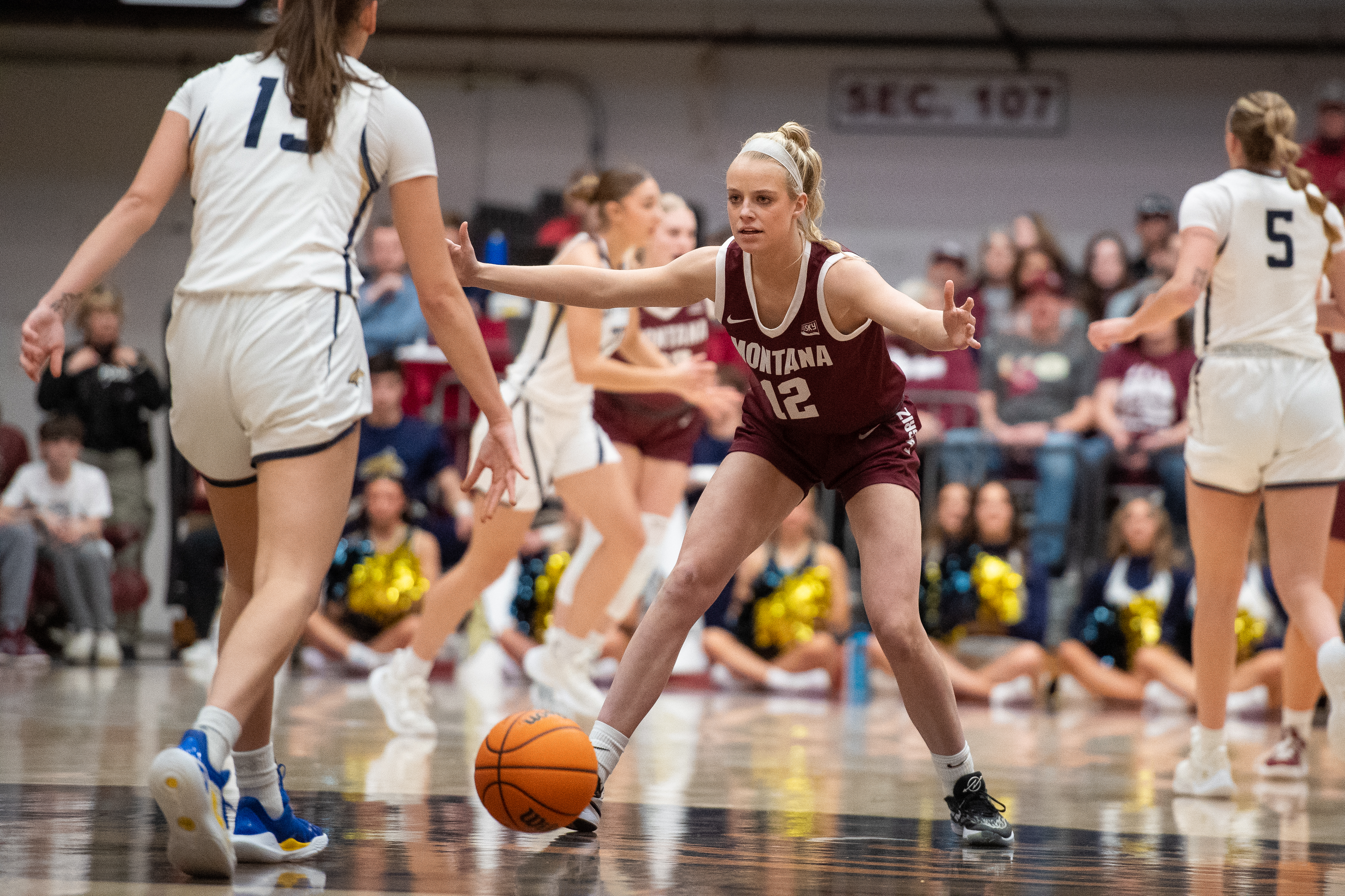 Montana State at Montana women's basketball