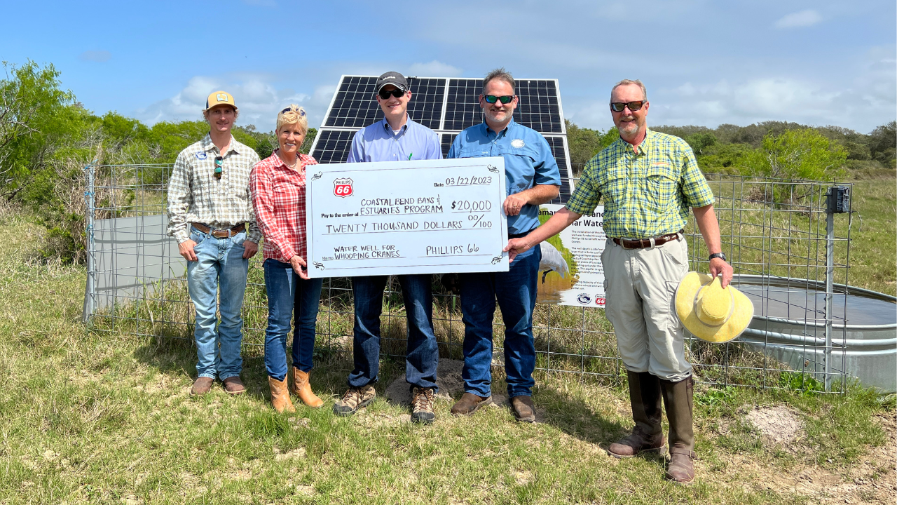 New solar-powered water well essential to endangered whooping cranes - Vimarsana News
