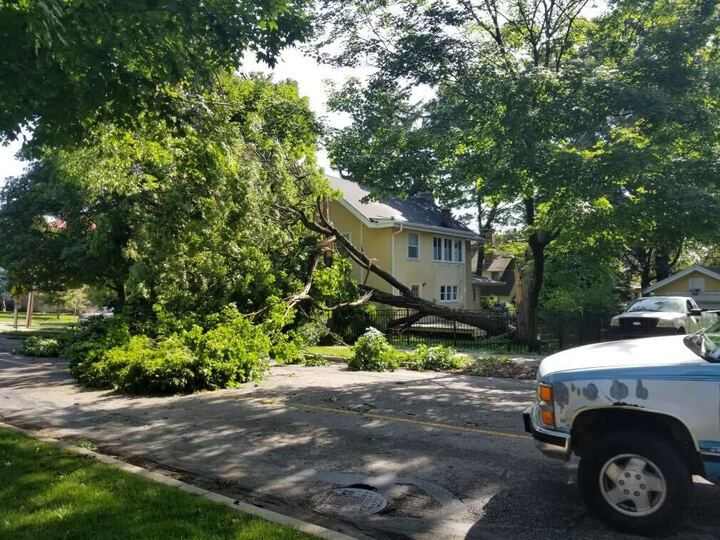 brookside tree down.jpg