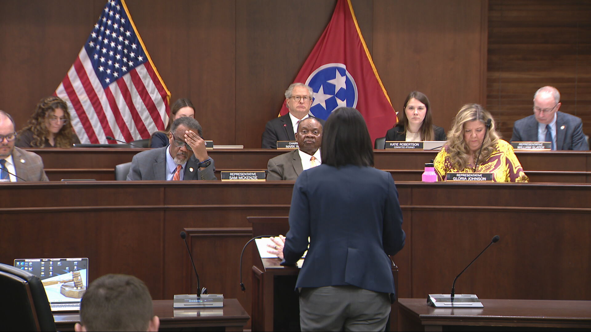 Rep. Michelle Reneau pitches tech ban